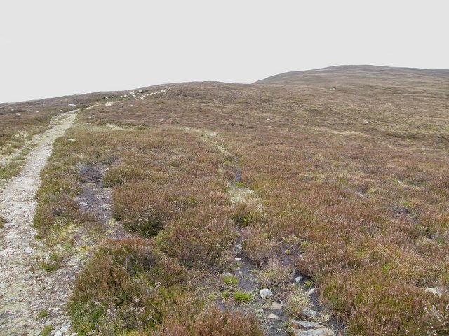 File:Uphill from the same spot - geograph.org.uk - 1332063.jpg