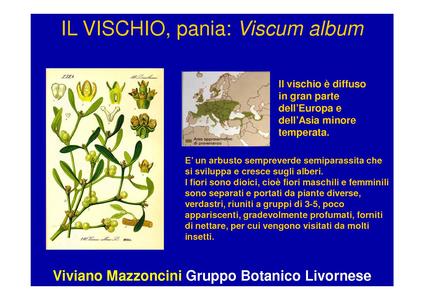File:Vischio.pdf