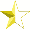 One-half-of-the-golden-shaded-star.png