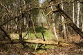 - Flickr - a natural thing.jpg