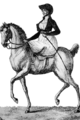 1799-sidesaddle-riding.gif