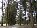 Mirambeena Regional Park, Georges Hall, New South Wales 2.jpg