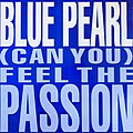 (Can You) Feel the Passion.jpg