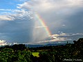 "Chase a rainbow, Chase a rainbow, Chase a rainbow. Chase your rainbow anywhere you find it" - The Seekers - Flickr - Dr. Santulan Mahanta.jpg