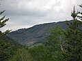 - Flickr - dave 7 (18).jpg