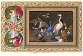 "Aquatic Birds at a Pool", Folio from the Davis Album MET DT4887.jpg