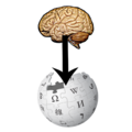From brain to wikipedia.png