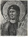 'giotto', morte di francesco 22.jpg