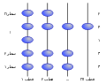 BeadSort-Figure1-fa.svg