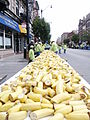 A conveyerbelt of bananas (215773398).jpg