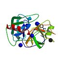 PBB Protein KLK4 image.jpg