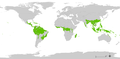 800px-tropical wet forests.png