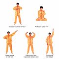 Cinque Esercizi Falun Gong.jpg