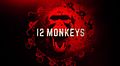 12 Monkeys.jpeg